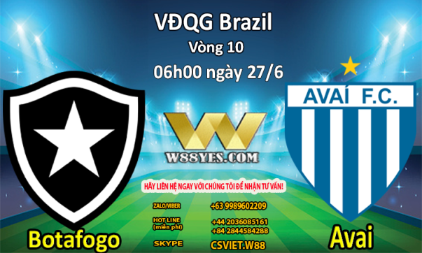 Botafogo vs Avai